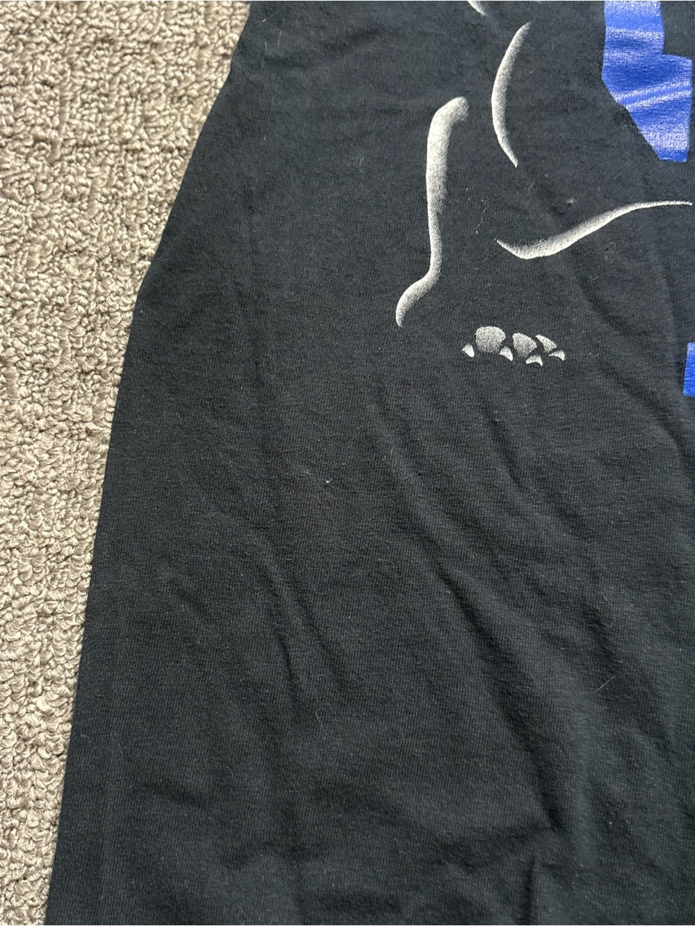 Y2K 2000s style University of Kentucky Graphic Tee | $20 - Picture 5 of 5